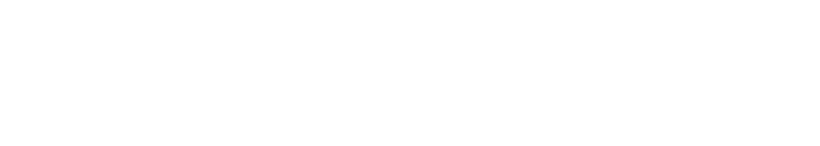 Copilot Interactive Demo